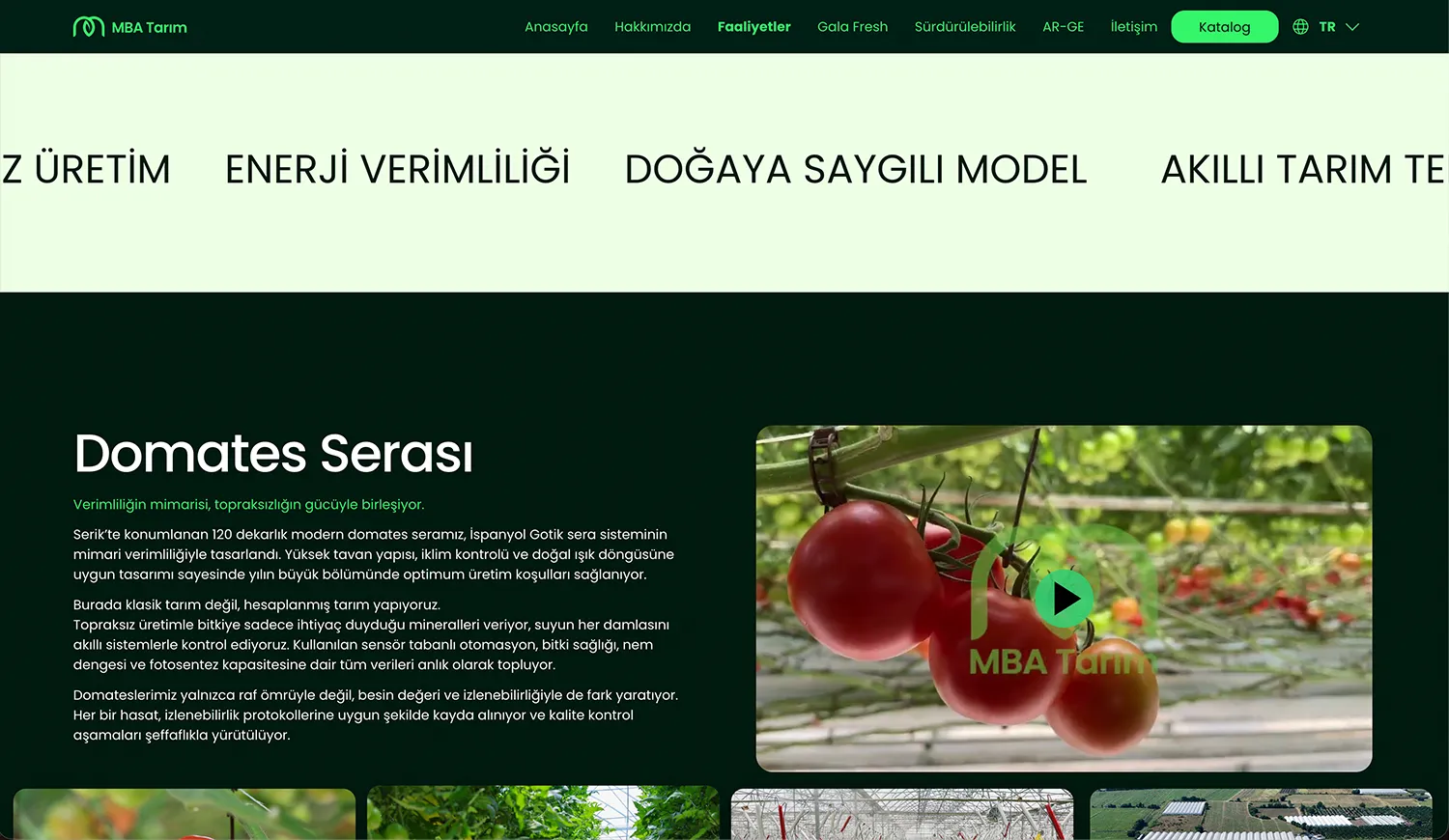 MBA Tarım: MBA Tarım kurumsal web sitesi tasarımı — Klyne Creative Studio