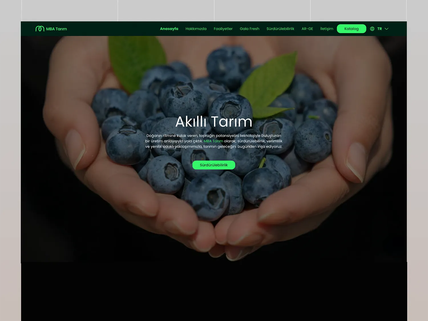 MBA Tarım tarımsal faaliyetler kurumsal web sitesi tasarımı — Klyne Creative Studio